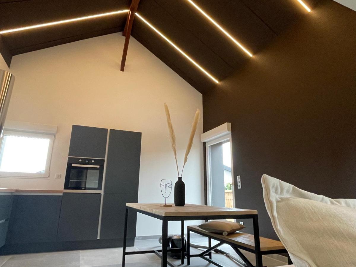 Gite Spa L'Atelier Emile - Spa Privatif - 5 Min Colmar Sainte-Croix-en-Plaine Dış mekan fotoğraf